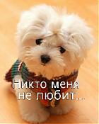 Аватар для ШмаKODяVка