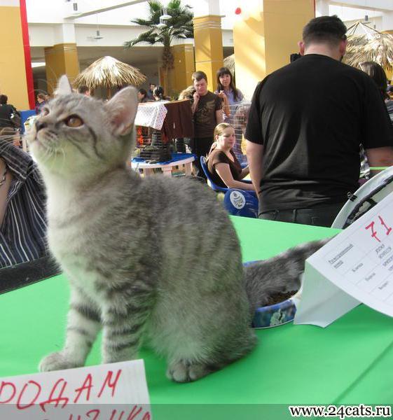 Изображение 125