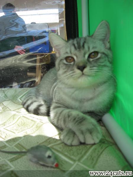 Изображение 128